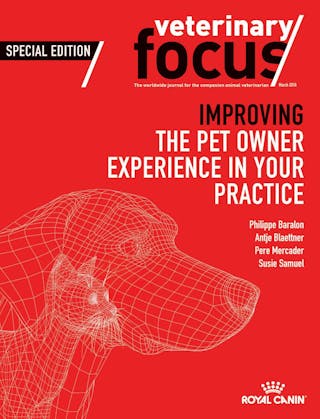 Improving the pet owner experience in your practice